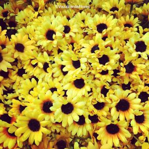 buque-de-girassois-flor-24-h