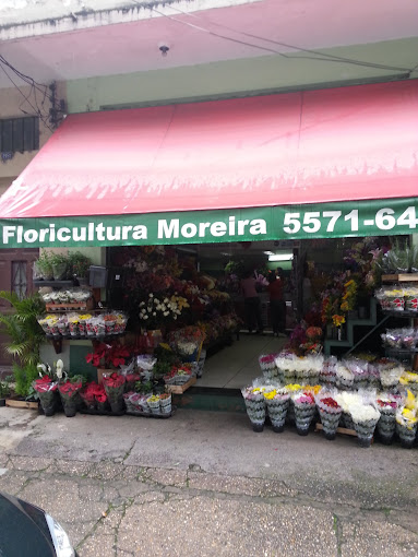 flori 24 horas sao paulo delivery valor