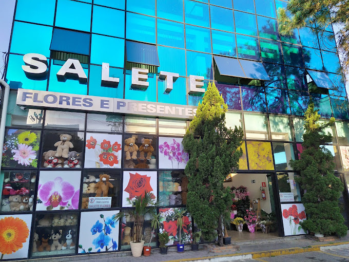 floricultura com entrega salete sao paulo capital