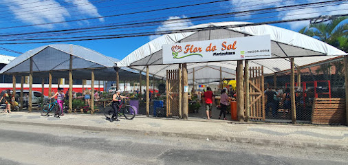 floricultura em novo horizonte serra es