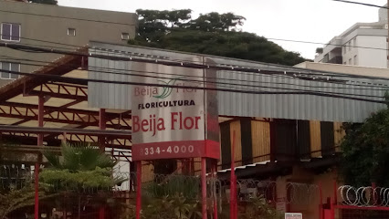 floricultura nova granada flores entrega BH