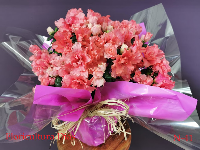 floriculturas online sao paulo capital 24 h