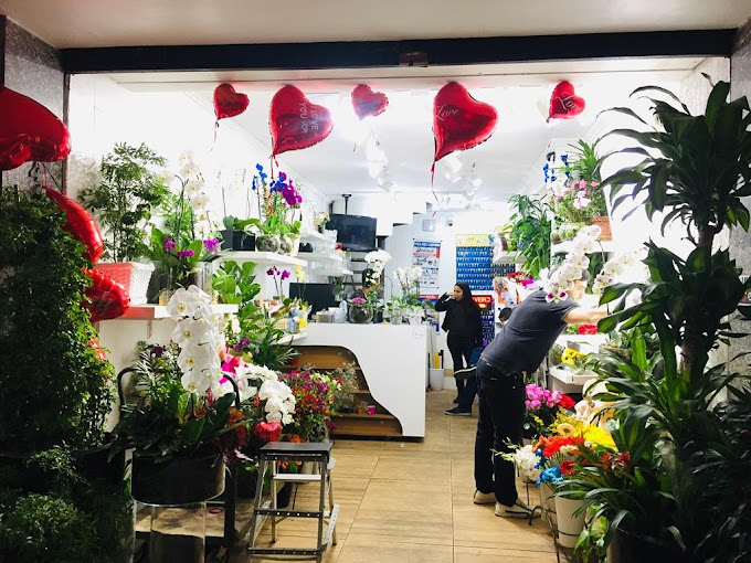 melhor floricultura perto de mim sao paulo