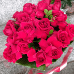 rosas vermelhas colombianas preço