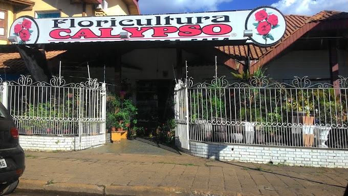 24 horas floricultura calypso porto velho