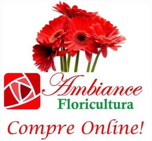 ambiance floricultura em manaus flores e decorações