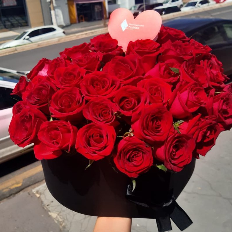 america floricultura entrega flores online cuiaba coxipo