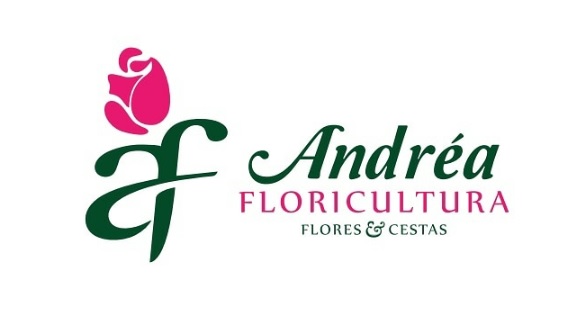 andrea floricultura cuiaba centro entrega flores