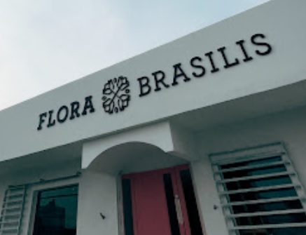 ane rose floricultura maceio delivery