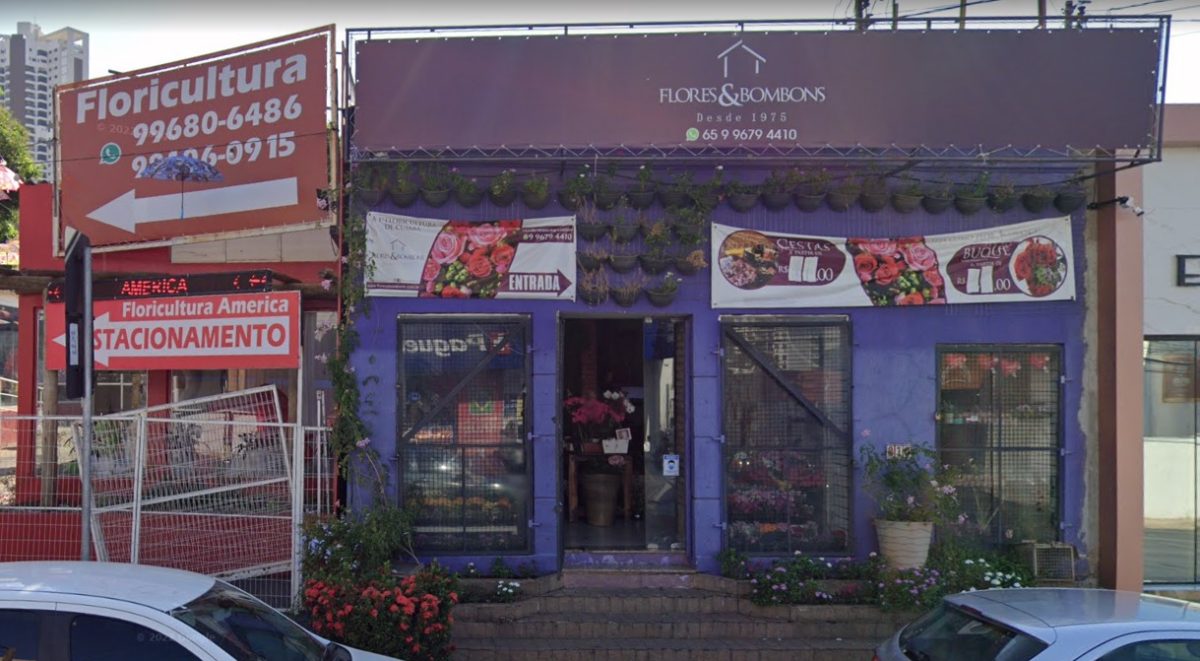 bela flor floricultura cuiabá mt online