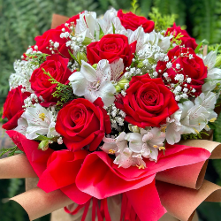 bem me quer floricultura belém umarizal