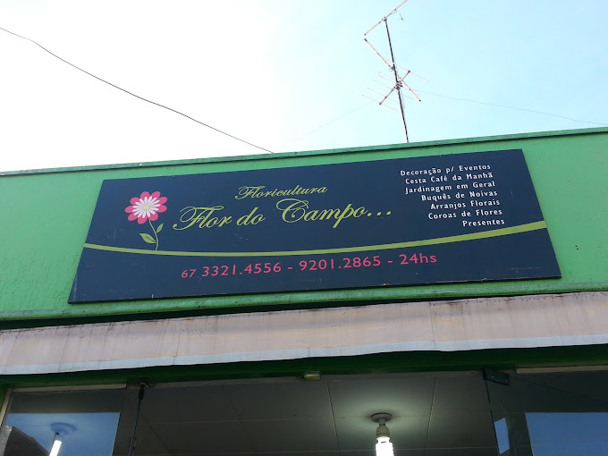 campo grande floricultura av mato grosso