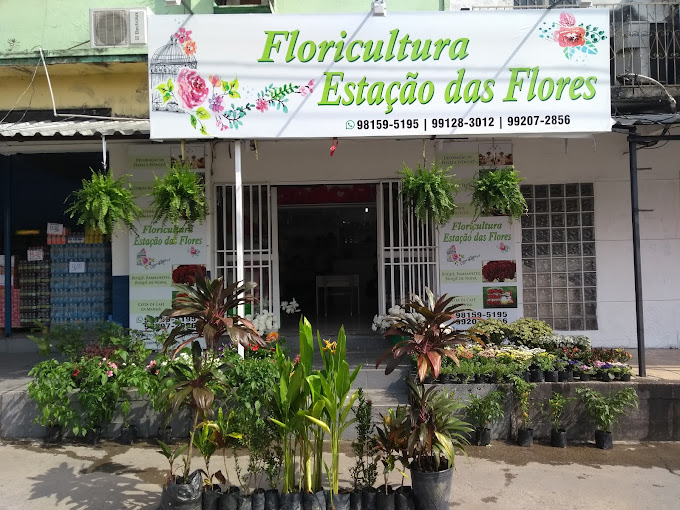 comprar flores em manaus online
