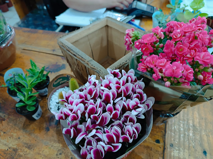 comprar flores online natal