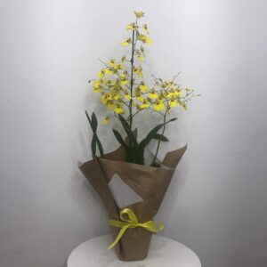 entrega de flores em teresina pi