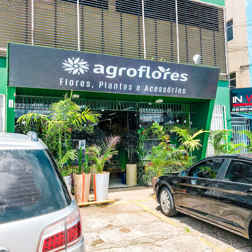 entrega flor bela floricultura maceió al
