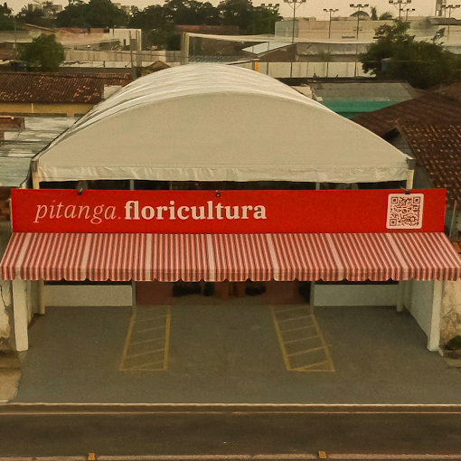 entrega flor e cultura belem castelo branco