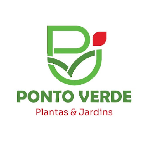 entrega flores online macapa ap