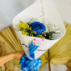 entrega flores online rio branco acre