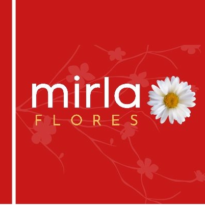 entrega flores salvador floricultura na pituba
