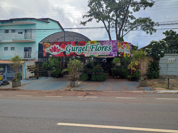 enviar flores entrega goiana 24 horas online