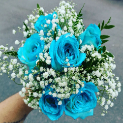 flores manaus entrega no mesmo dia