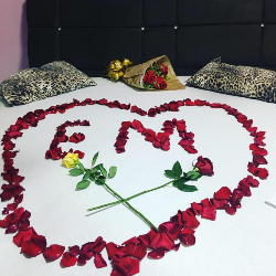 floricultura 24 horas em porto velho telefone