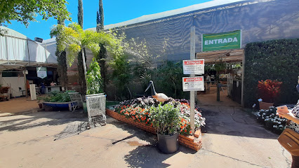 floricultura aberta em campo grande 24 horas