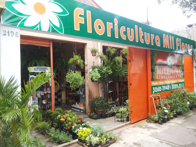 floricultura bem me quer belém batista campos