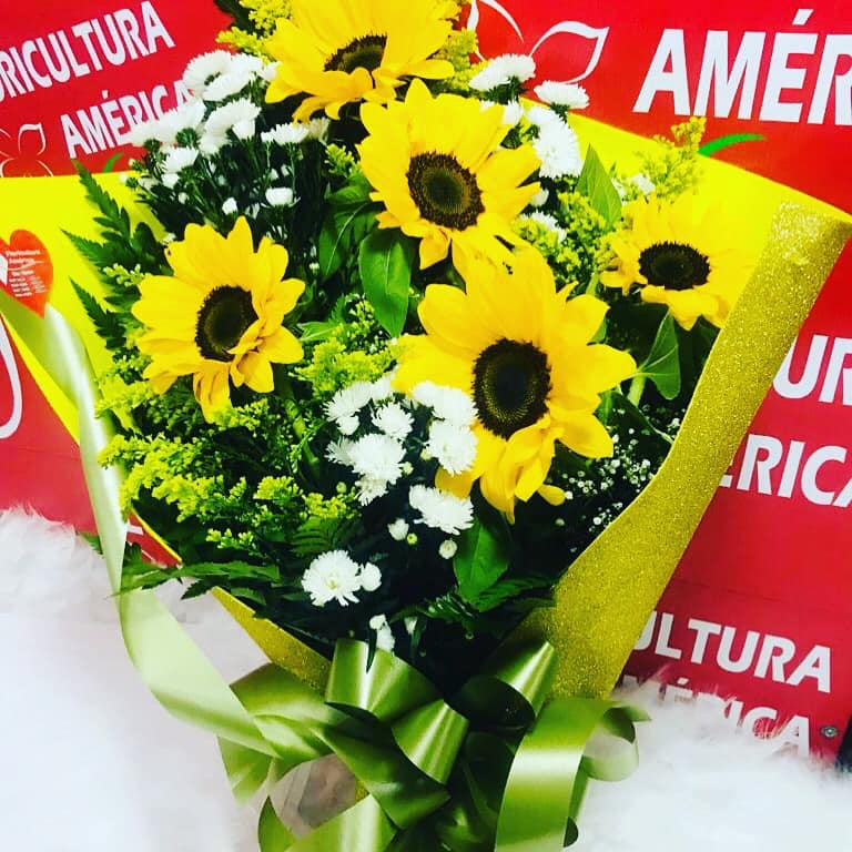 floricultura cuiaba entrega 24 horas flores