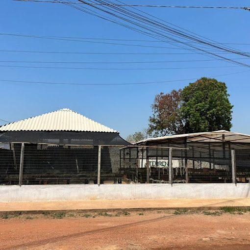 floricultura cuiaba isaac povoas flores 24 horas