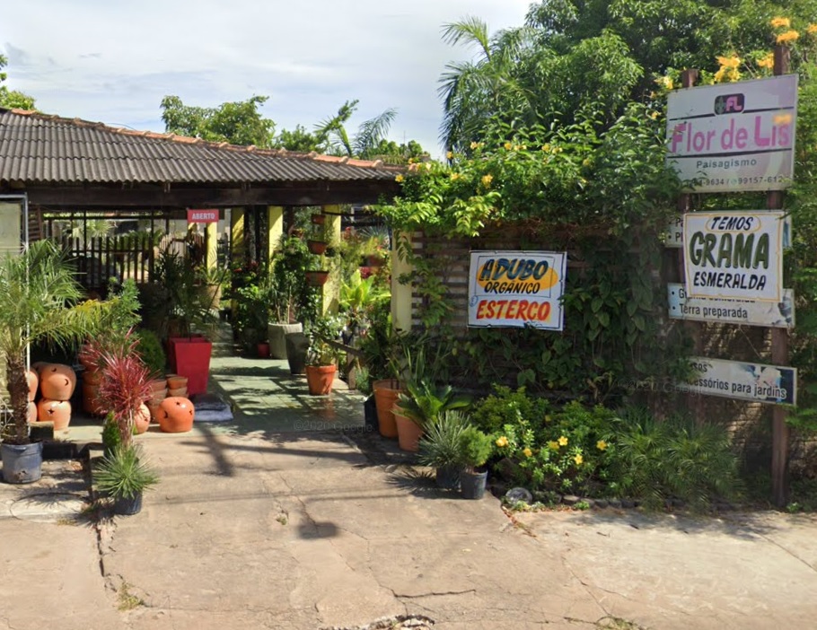 floricultura em boa vista roraima 24 horas