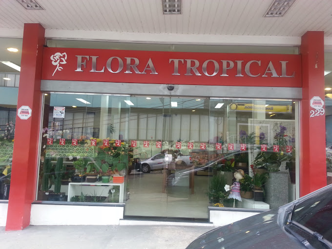 floricultura em manaus am cidade nova