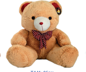 floricultura entrega flores boa vista rr