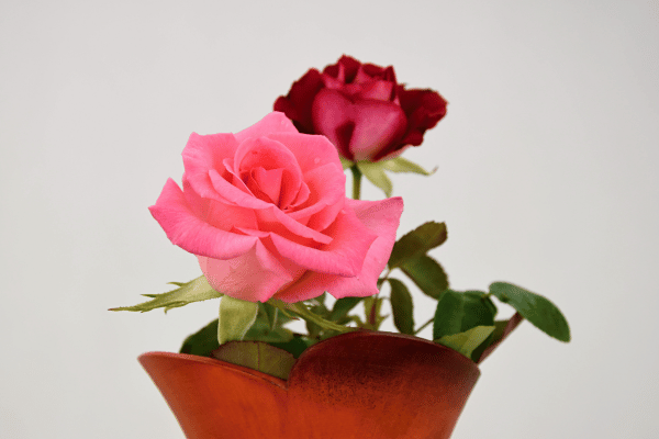 floricultura goiania entrega ao domicilio hoje