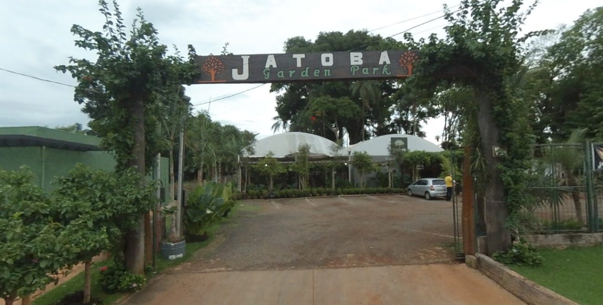 floricultura moreninhas campo grande entrega ao domicilio