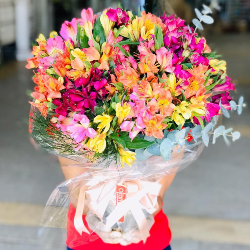 floricultura na barra salvador bahia