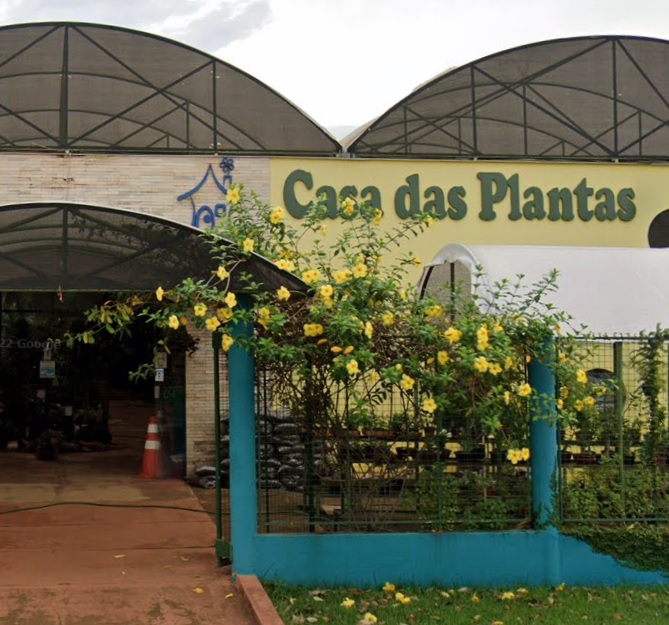 floricultura na sucupira porto velho zona sul