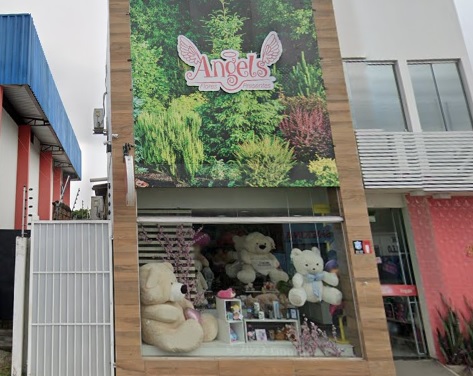 floricultura online 24 horas boa vista roraima