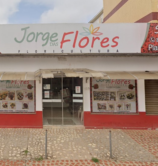 floriculturas rio branco acre