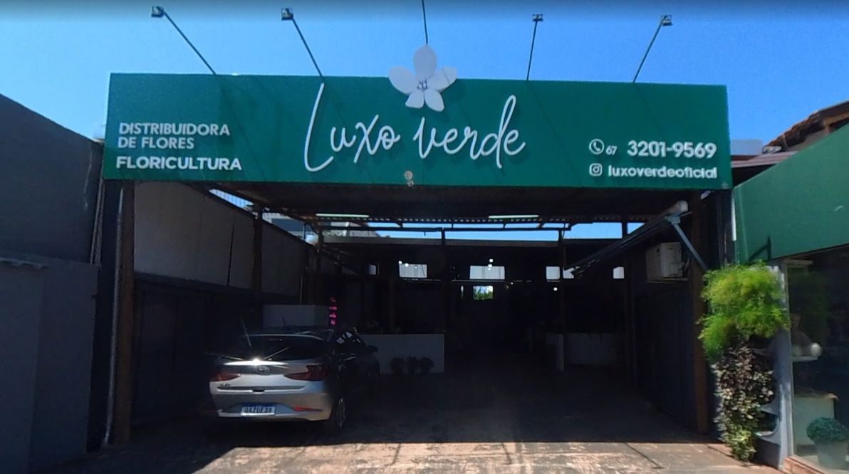 melhor floricultura campo grande mato grosso do sul