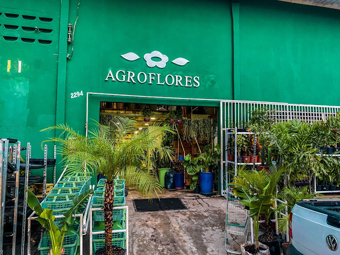 melhor floricultura em natal rio grande do norte