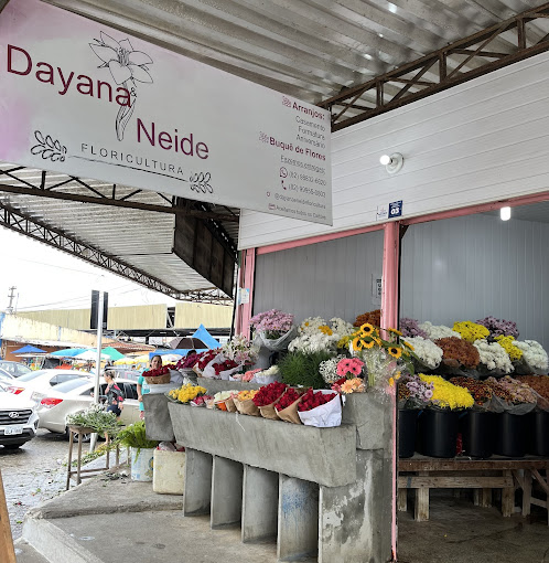 melhor floricultura maceió ponta verde