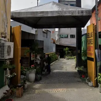 Floricultura Bellas flores horto e estacionamento camacari ba
