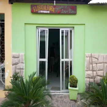 Floricultura Isabelle e Luiza Flores santa rita