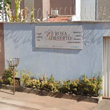 Floricultura rosa do deserto timon ma