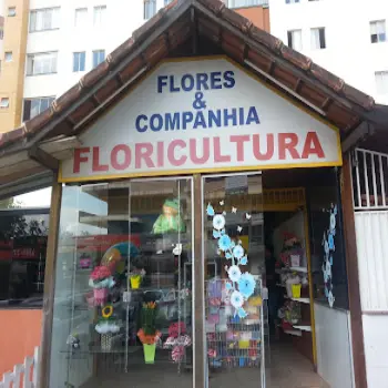 flores e companhia loja de flores