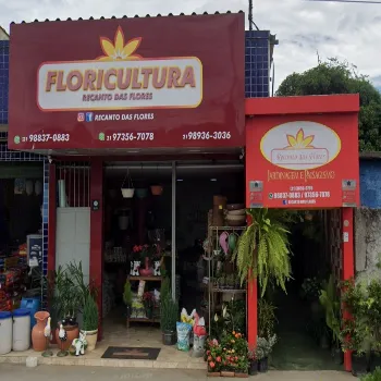 flores entrega rapida duque de caxias