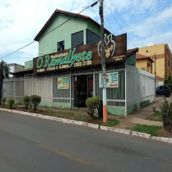 flores online guara floricultura entrega rapida