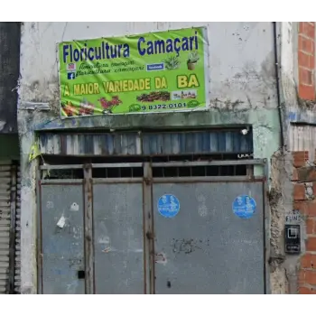 floricultura 24 horas camacari